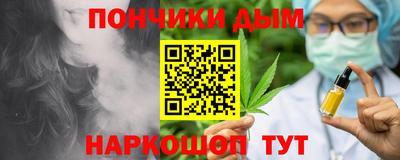 шишки Обь