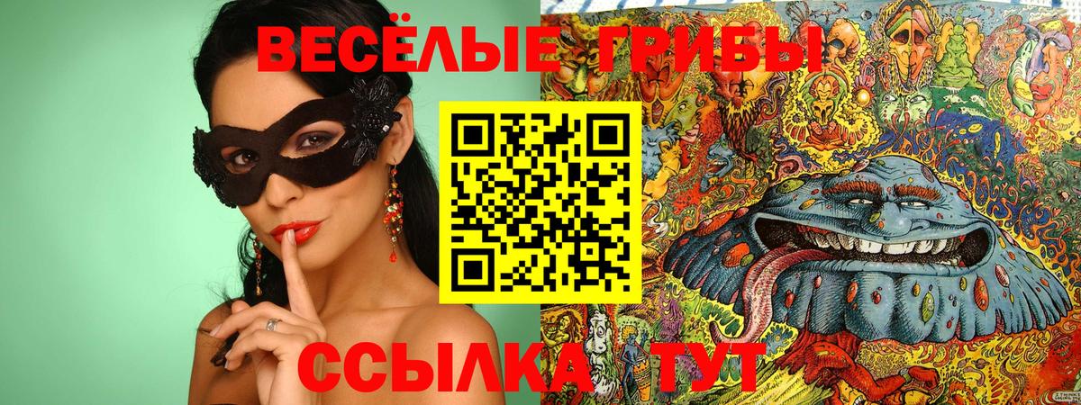 Галлюциногенные грибы GOLDEN TEACHER Тимашёвск