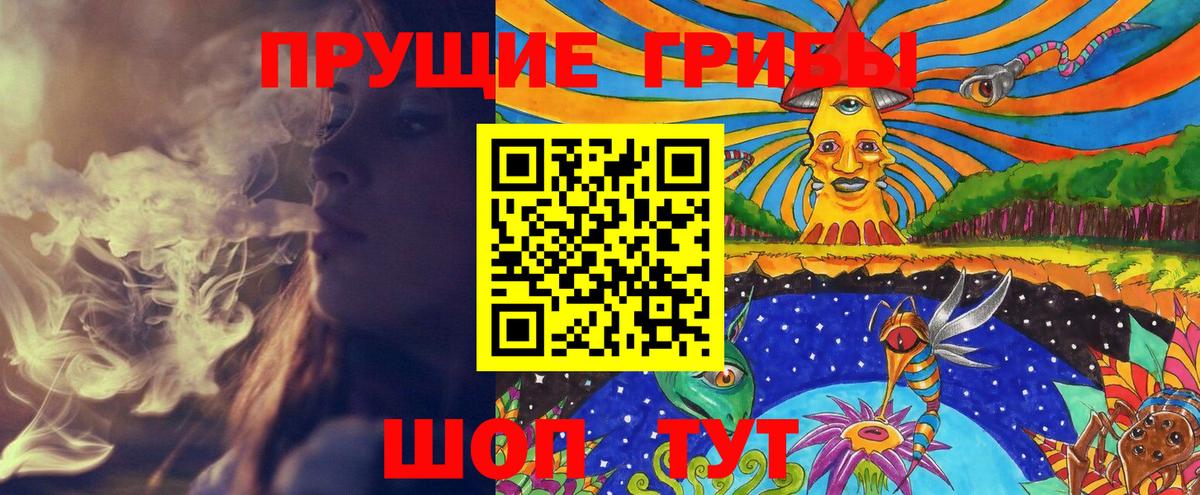 Тимашёвск  Псилоцибиновые грибы GOLDEN TEACHER  цены   Вход с VPN 